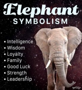 Symbolism of Elephants in Home Decor